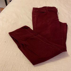 Ann Taylor Dress Pant